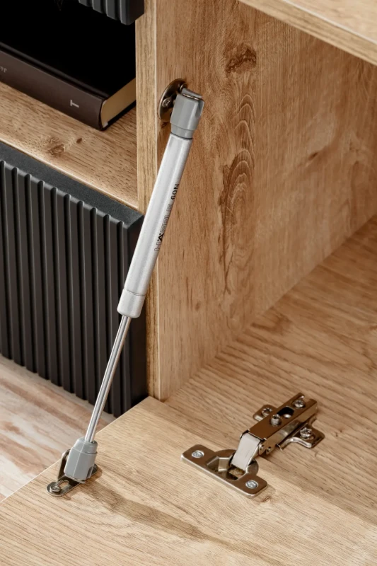 Szafka RTV Aron do salonu