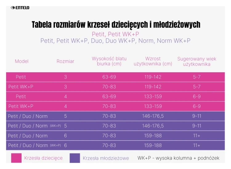 Krzesło młodzieżowe obrotowe do biurka Petit wzrost 146-188 cm szara podstawa kółka z podnóżkiem