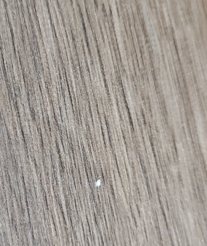 OUTLET-EG-0063-754456497 (2).webp