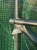 Tunel foliowy ogrodowy 3x2 m 6 m2 zielony, stelaż stalowy fi 19 mm