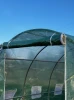 Tunel foliowy ogrodowy 3x2 m 6 m2 zielony, stelaż stalowy fi 19 mm