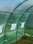 Tunel foliowy ogrodowy 3x2 m 6 m2 zielony, stelaż stalowy fi 19 mm