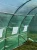 Tunel ogrodowy foliowy 6x3 m zielony 18 m² stelaż stalowy fi 25