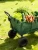 Wózek ogrodowy transportowy 2w1 siatkowy z plandeką 250 kg zielony