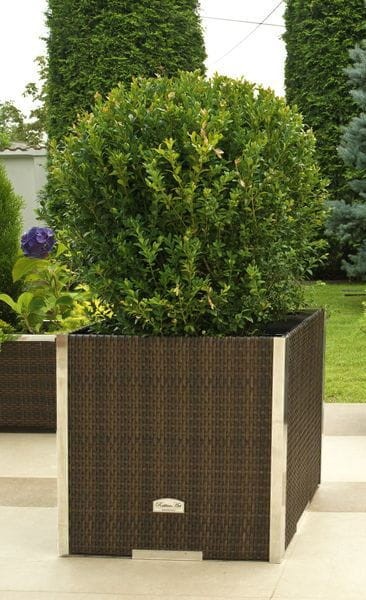 Donica technorattanowa 150