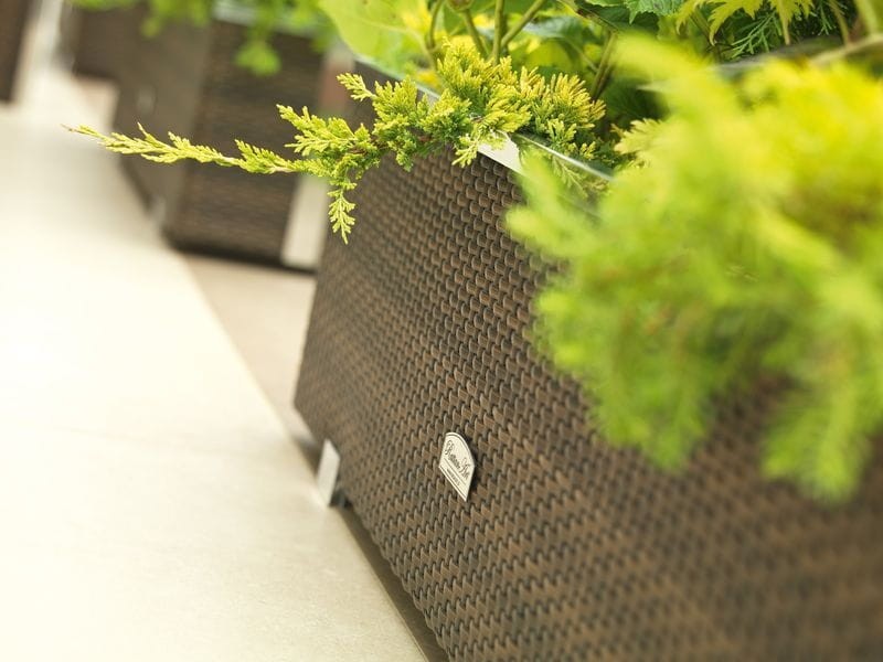 Donica technorattanowa 98