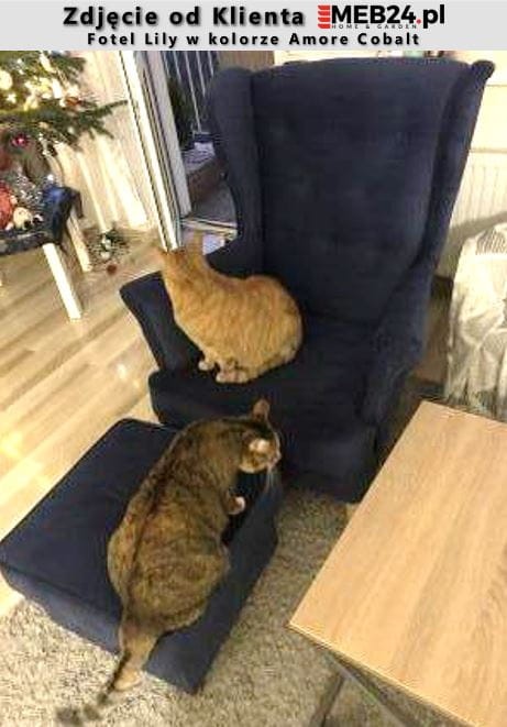 Fotel uszak Lily zdjęcie od klienta