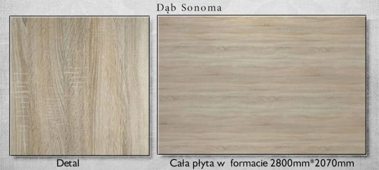 Dąb sonoma